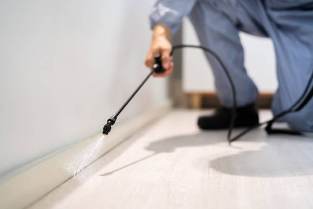Bed Bug Pre-Treatment Preparation Assessment in Algonquin