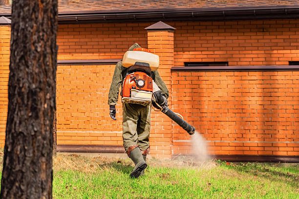Bed Bug Clearance Verification and Documentation in Algonquin